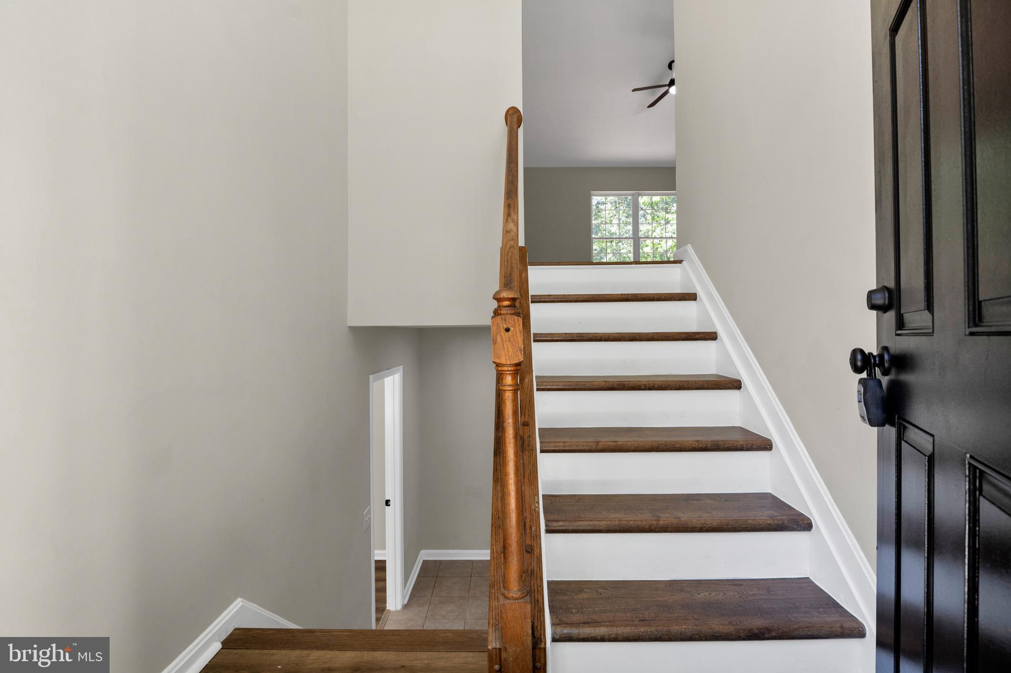 FECHTER - Residential