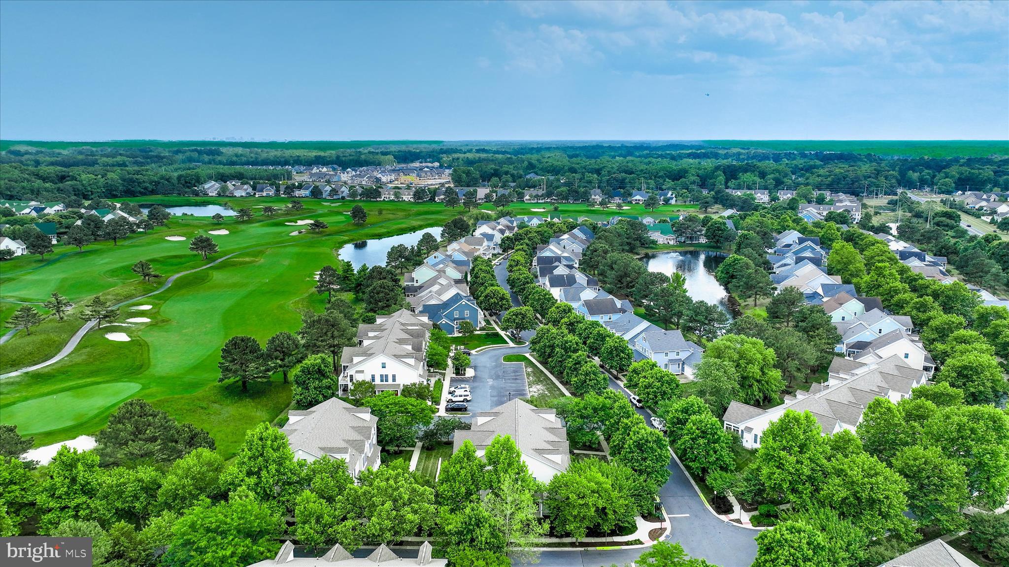 BEAR TRAP - Residential