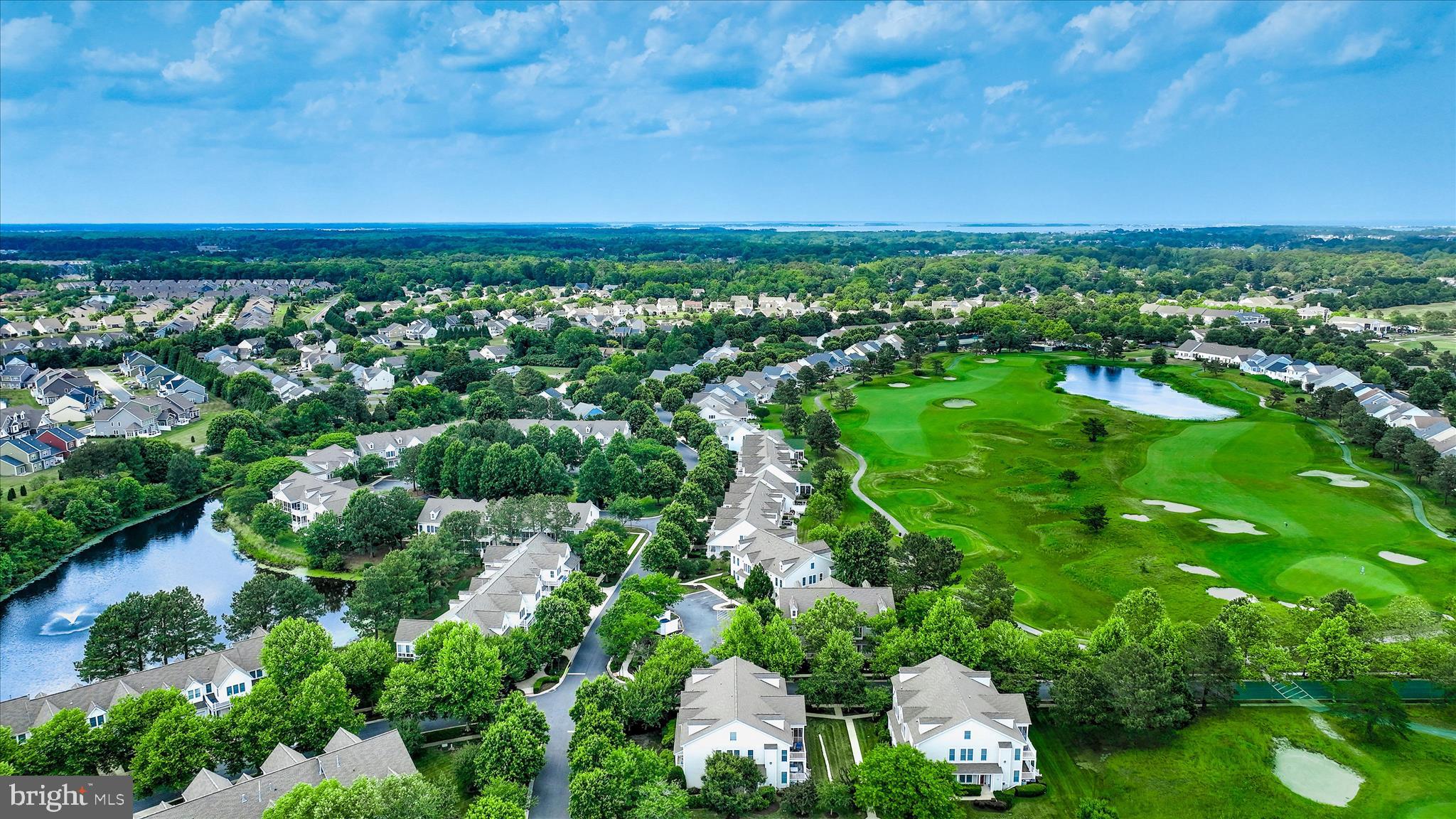 BEAR TRAP - Residential