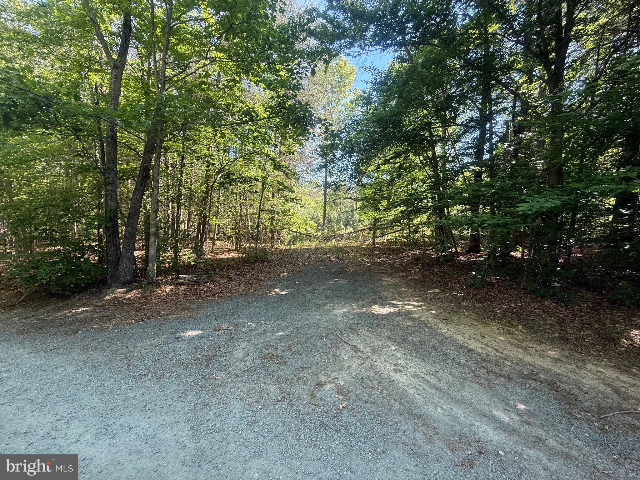 Nestled in the heart of desirable Keswick, this beautiful 3.354-acre wooded lot offers the perfect blend of privacy and convenience. Located on Sweetwater Way just minutes from Charlottesville, this property is ready for your dream home with a driveway already cut in and a well installed after the original purchase — saving valuable time and expense. Surrounded by mature trees and peaceful natural scenery, the lot provides a private setting while still offering easy access to shopping, dining, wineries, and all the amenities of Charlottesville and Albemarle County. No HOA means more freedom and flexibility to build and enjoy your property your way. Whether you’re looking to create a private retreat or your forever home, this exceptional parcel offers endless potential in a highly sought-after location.