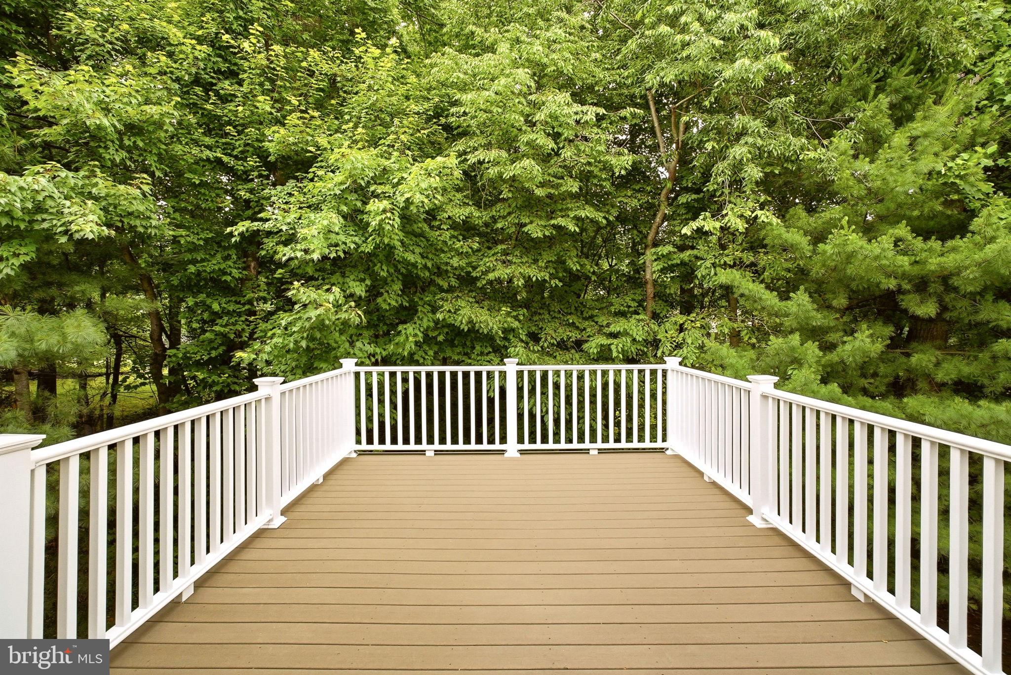 TALL TREES - Residential