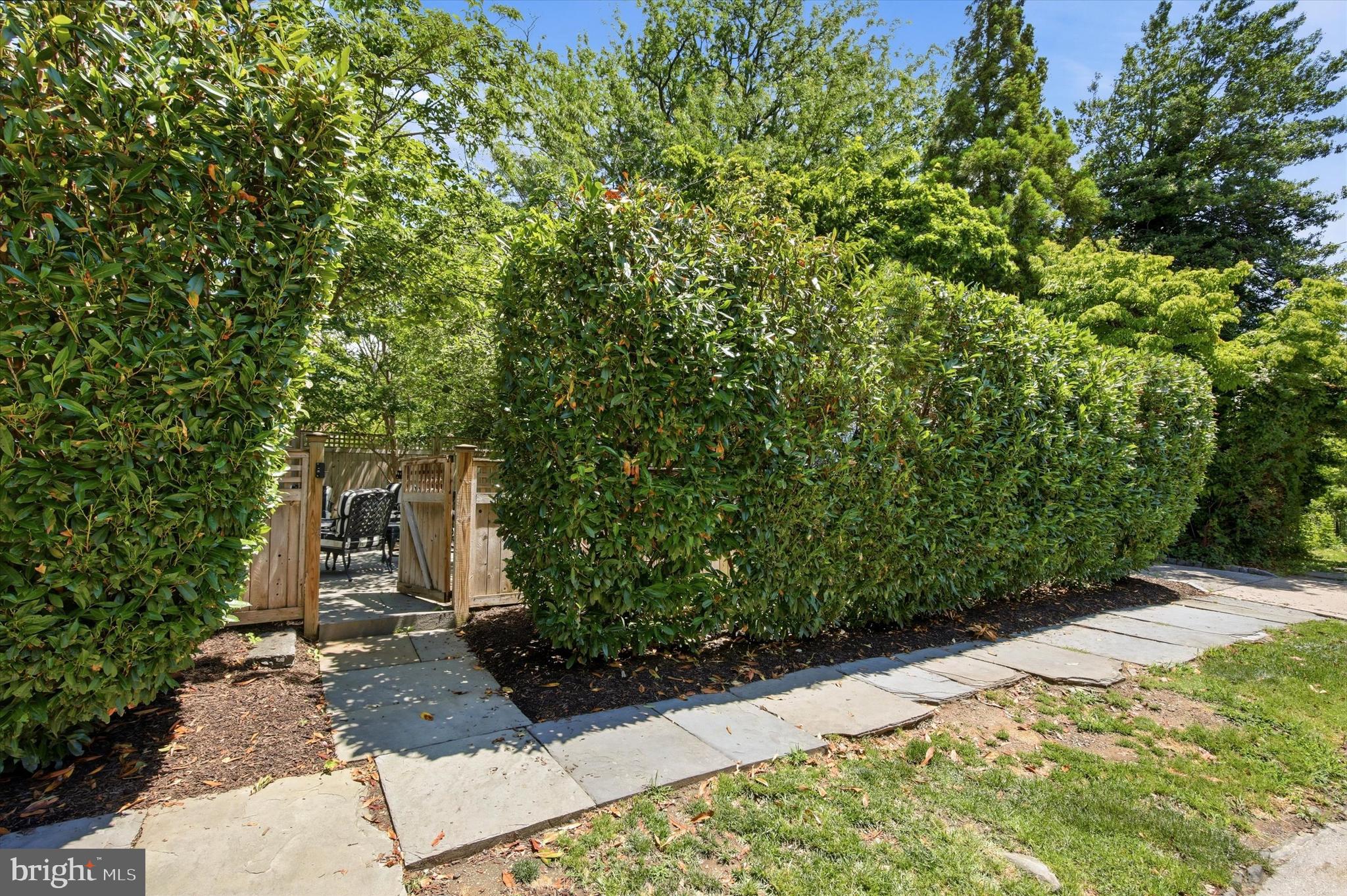 CHESTNUT HILL - Residential
