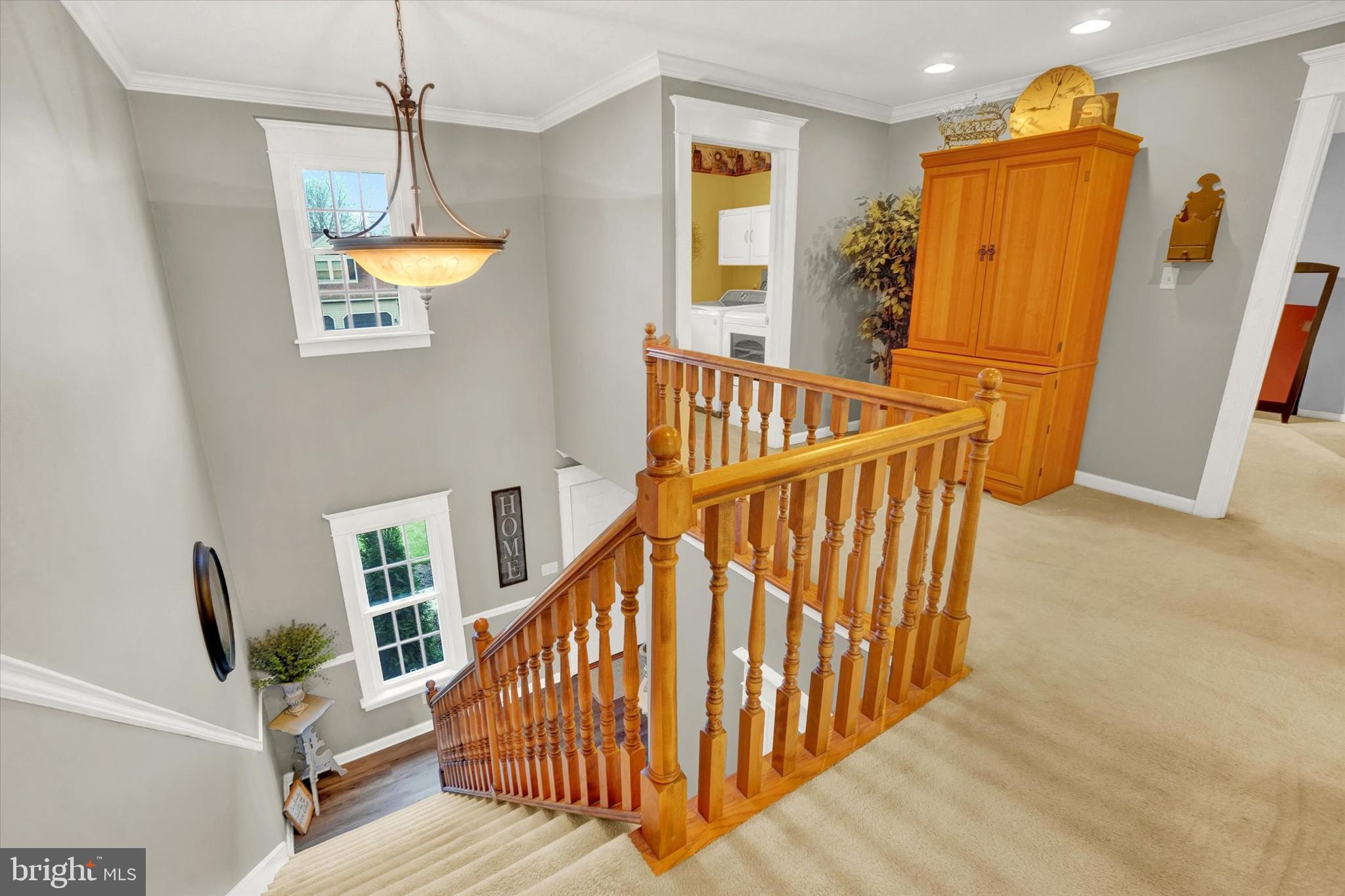LEXINGTON MEADOWS - Residential