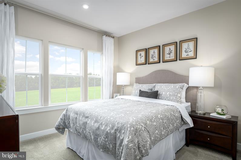 GREEN LANE MEADOWS - Residential