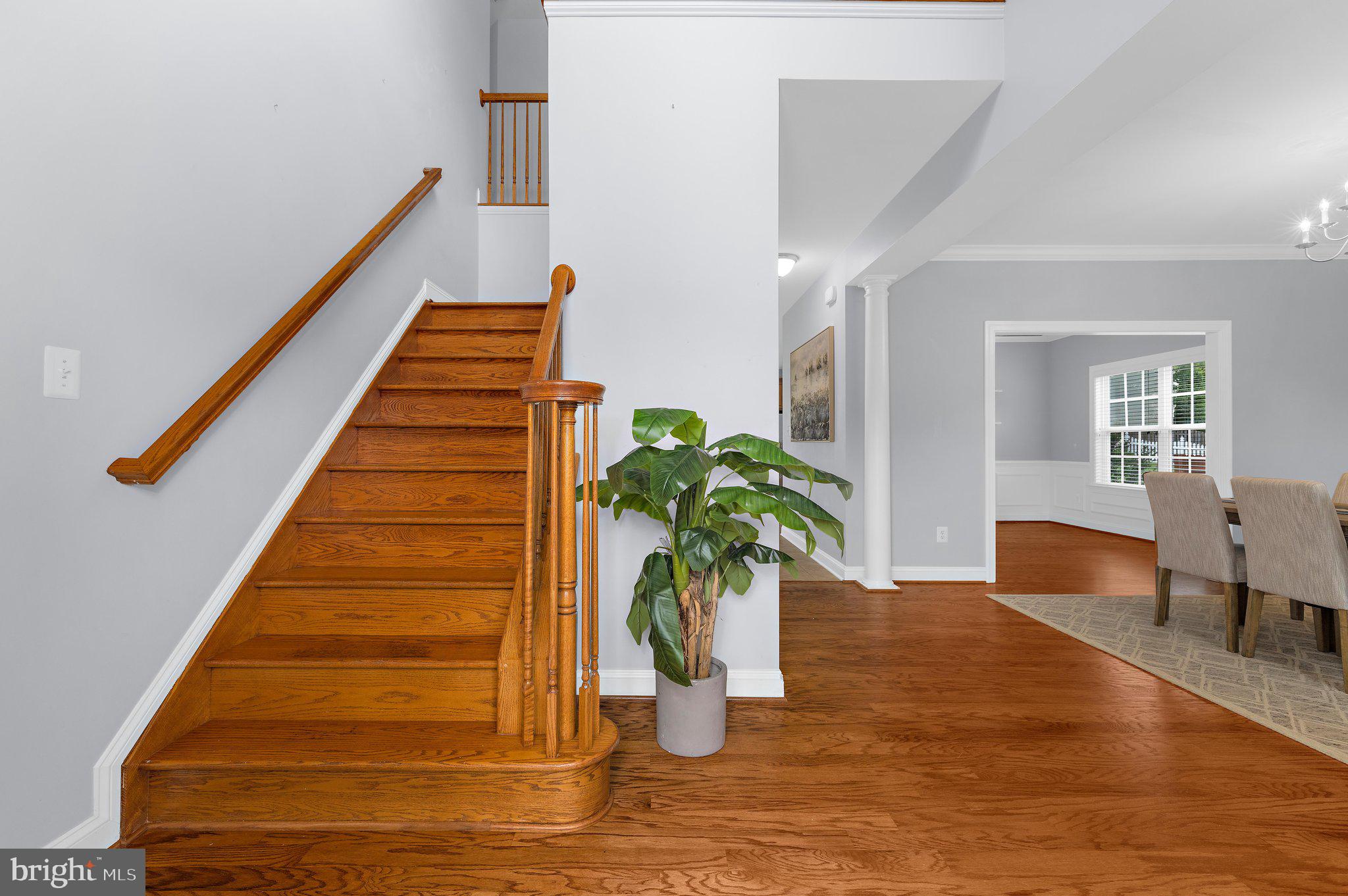 CHESAPEAKE VILLAGE - Residential