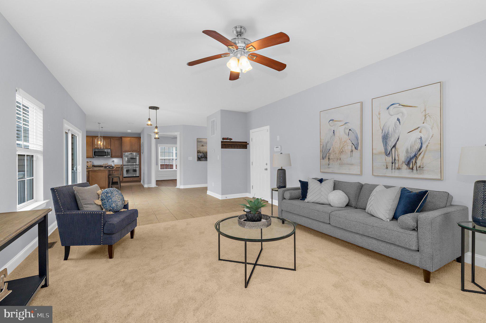 CHESAPEAKE VILLAGE - Residential