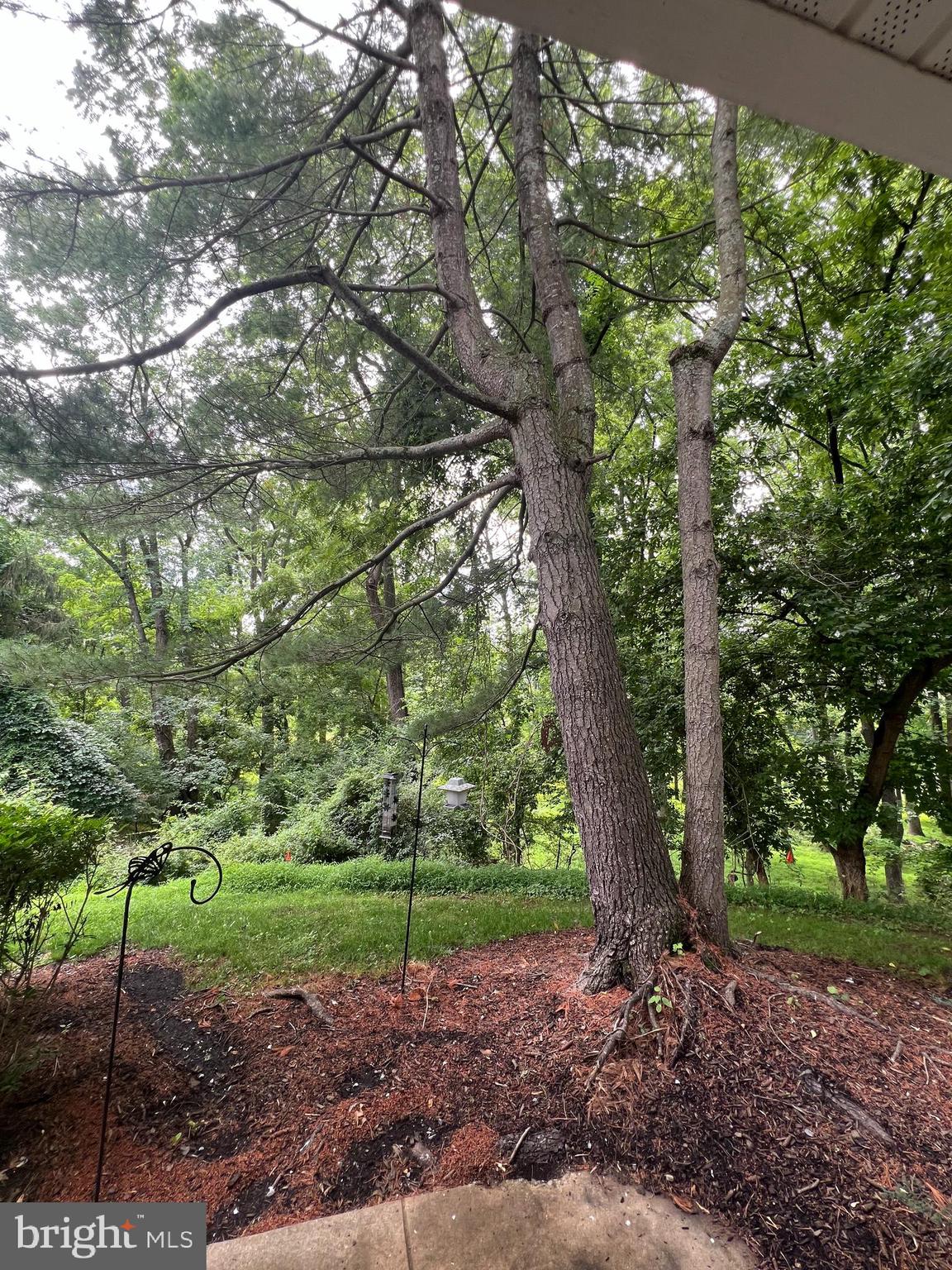 DARLINGTON WOODS - Residential