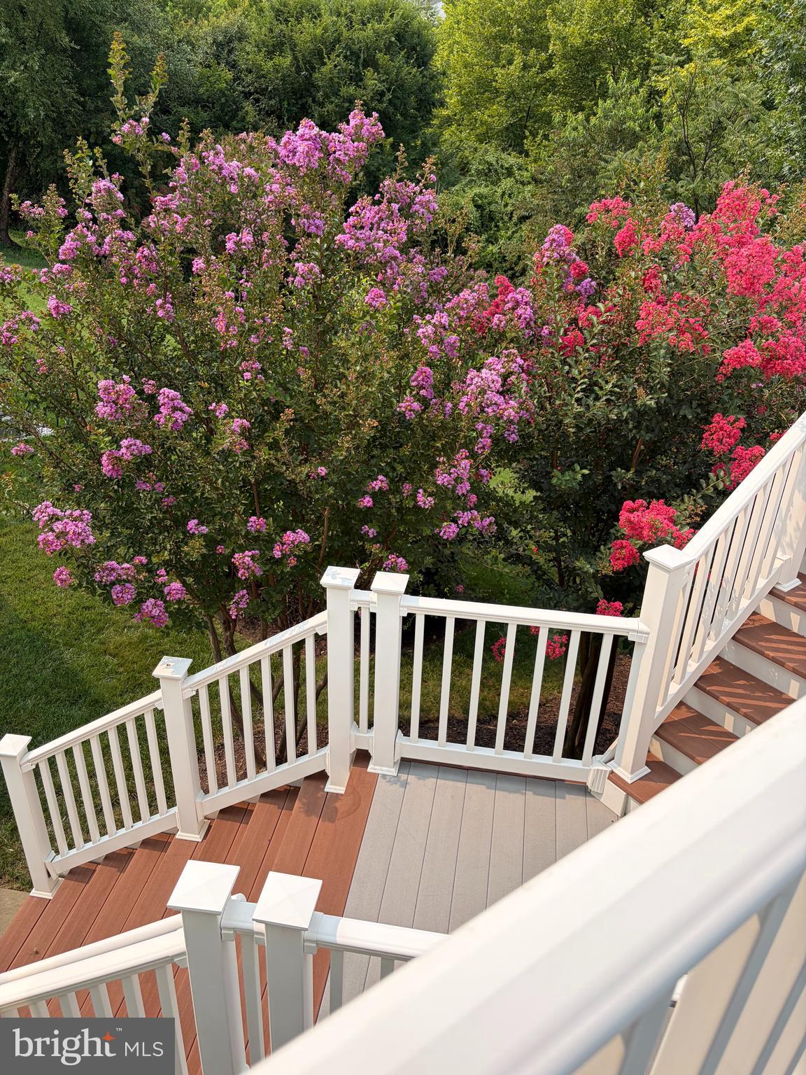 LAUREL HILL - Residential