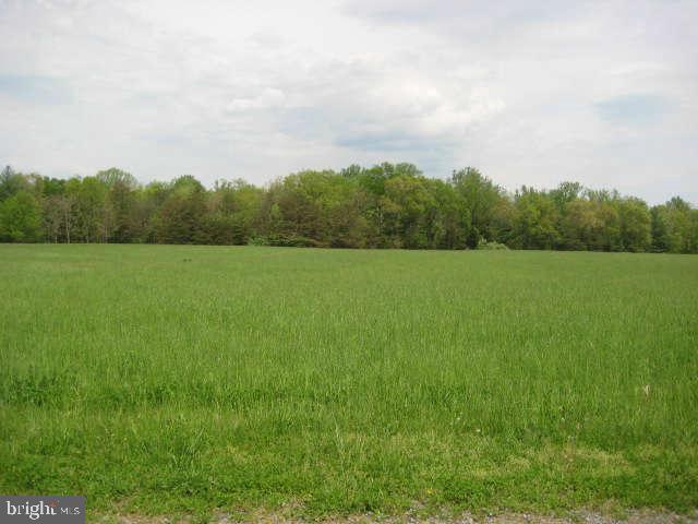 BACK CREEK ACRES - Land