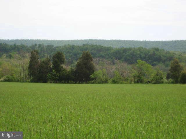 BACK CREEK ACRES - Land