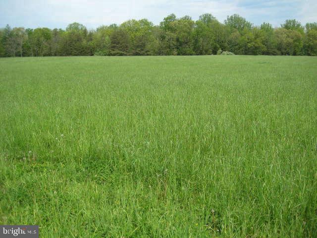 BACK CREEK ACRES - Land