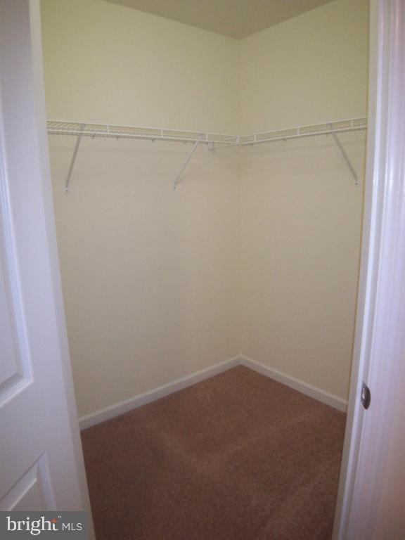 SUMMIT POINTE AT ELM TREE - Residential