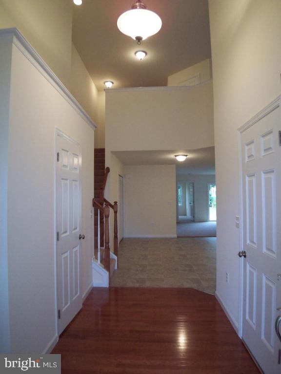 SUMMIT POINTE AT ELM TREE - Residential