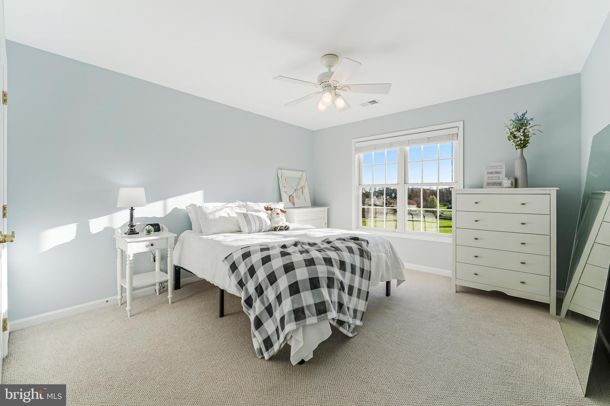 BOLINGTON ROAD - Residential