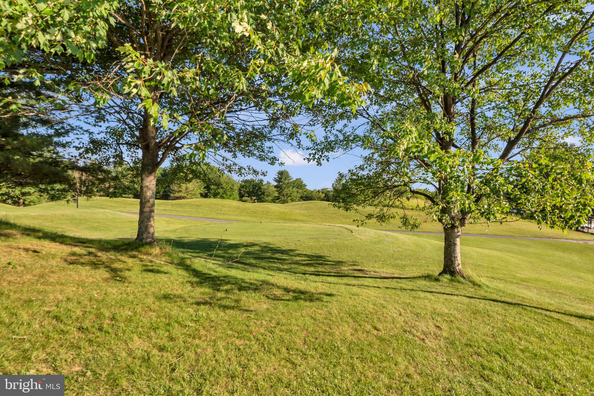 VILLAGE OF DORSEY SEARCH - Residential