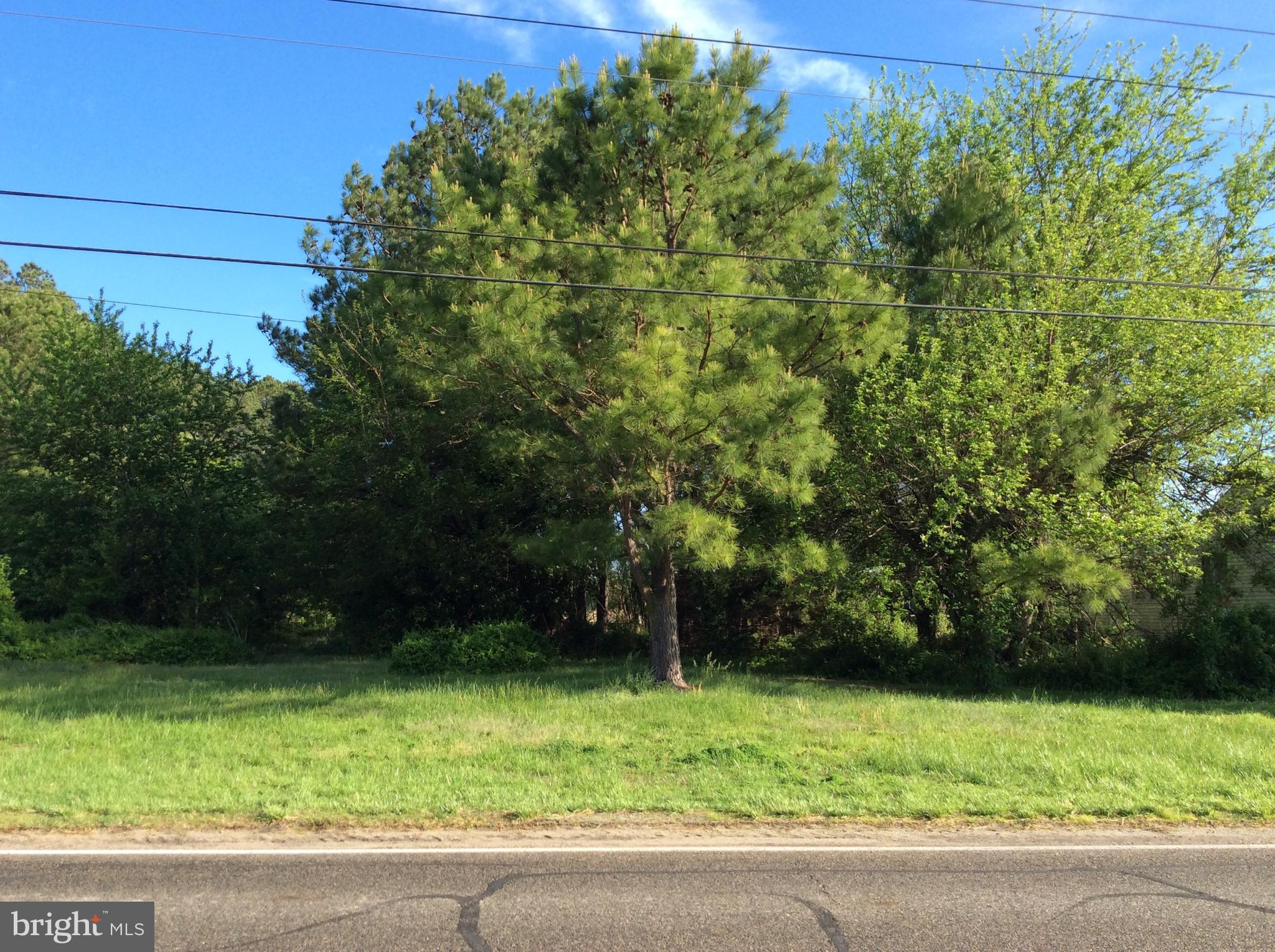 Lot has been surveyed and septic reserve on plat.  Ready for a build.