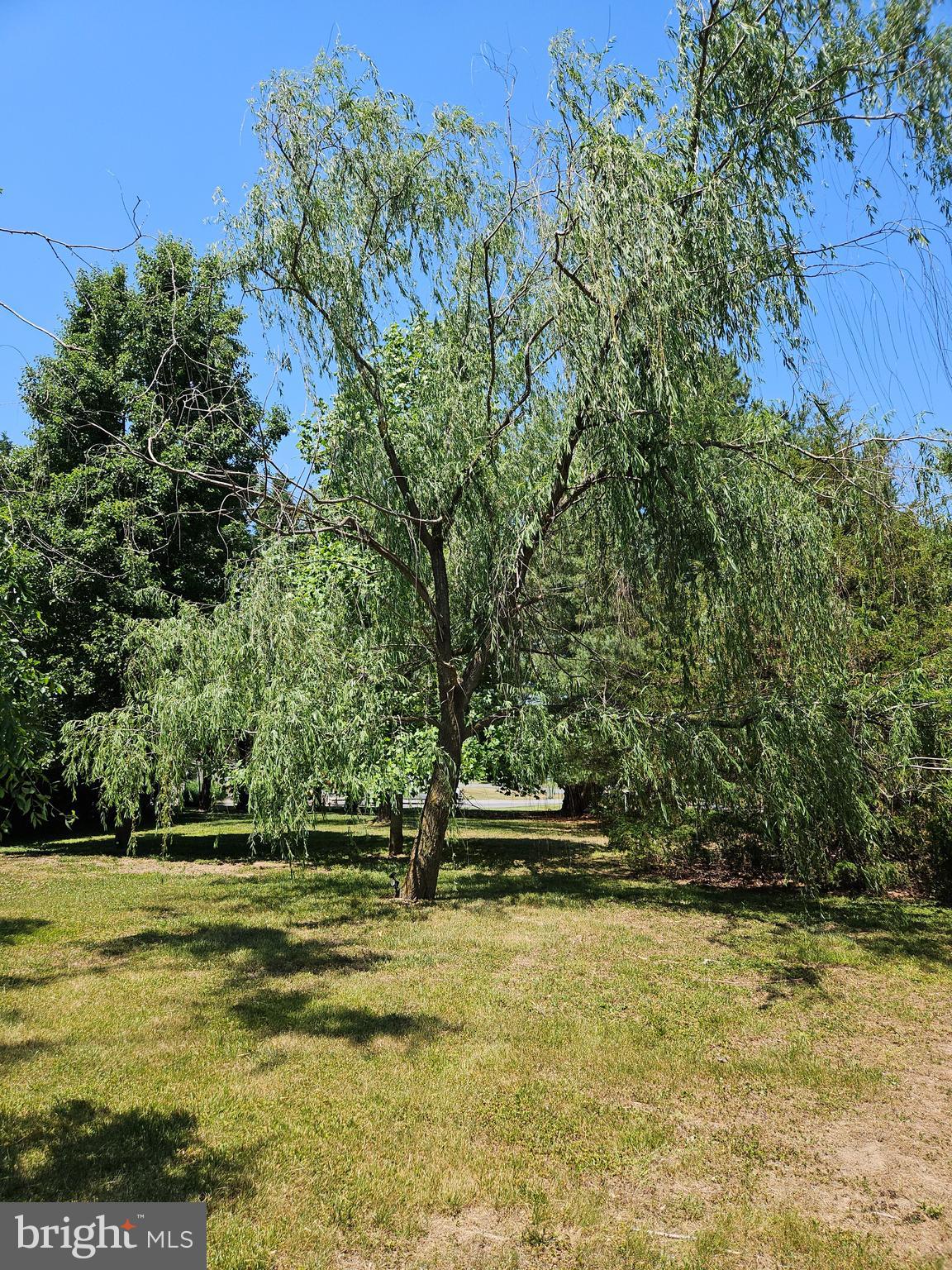 TUCKAHOE SPRINGS - Residential