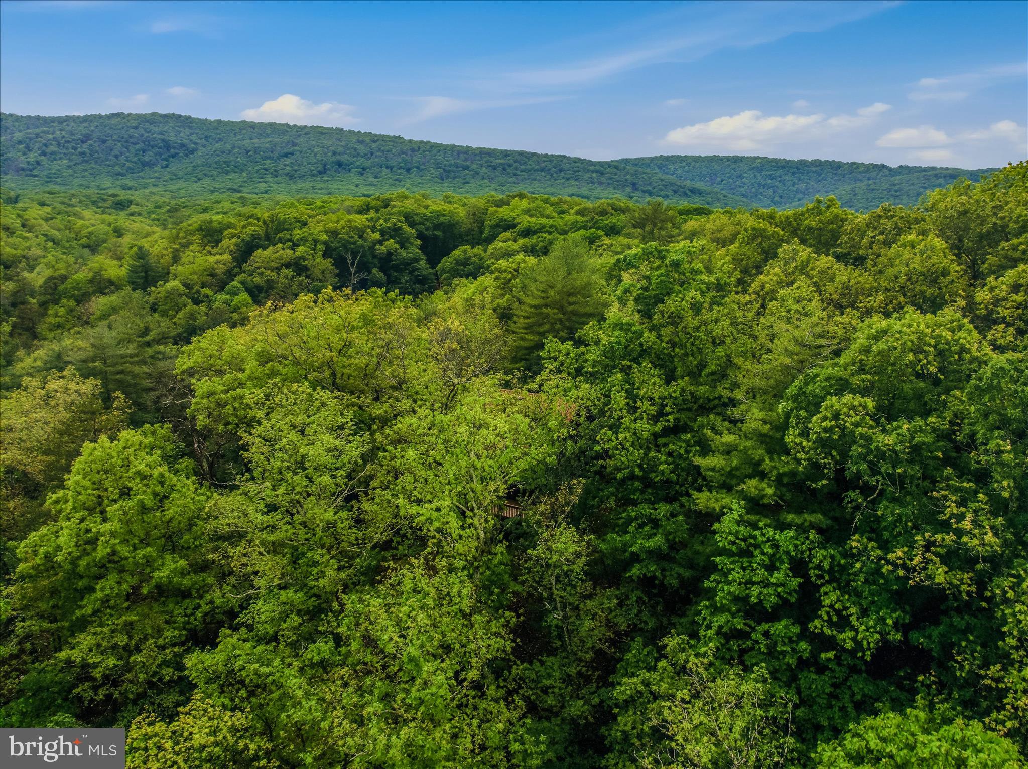 RIVER RIDGE - Residential