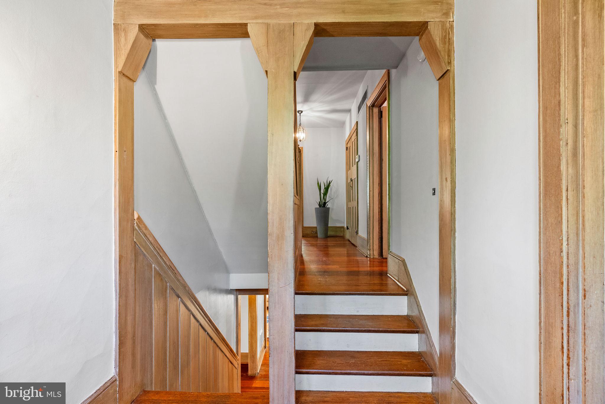 CHESTNUT HILL - Residential