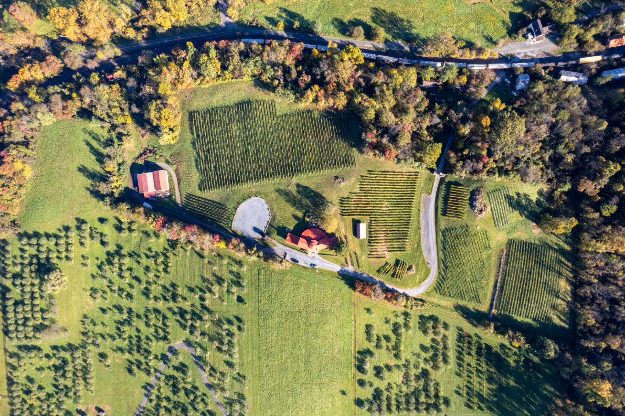 NONE AVAILABLE - Farm