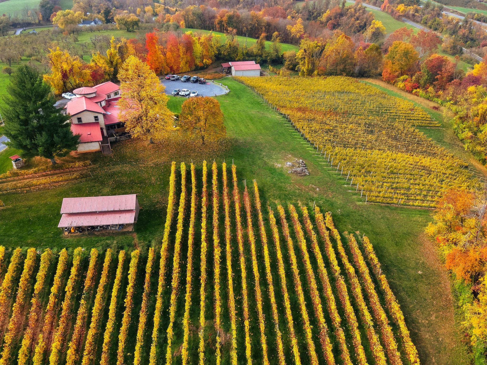 Thriving winery & vineyard amid stunning scenery in the rolling hills of Northern Virginia, "America’s next great wine destination." The winery is located in Markham, Virginia, Nestled in the Blue Ridge Mountains and conveniently accessible within an hour of Washington, DC. This popular destination has earned a reputation for producing high quality hand-crafted wines of distinction in a variety of styles. The turnkey offering includes over 13 acres, including approximately 8 acres of vineyards, a historic & renovated tasting room with incredible views, a residential suite, and production buildings. *** There are additional opportunities for assemblage that enhance the long-term vision of this offering. Adjacent to the winery, multiple buildings and parcels within the historic village of Markham are currently available through a separate listing, presenting a rare chance to acquire and revitalize the town. In addition, the owner of the winery controls a separate 35-acre parcel, which includes additional vineyard plantings and a historic barn. *** With a track record of profitability, this venture holds significant upside potential. By embracing weddings, special events, and expanded food service, this business is poised for further growth and success. *** This is an active business. Please be respectful and exercise discretion. Buyer Registration and Non-Disclosure Agreement required for additional information.