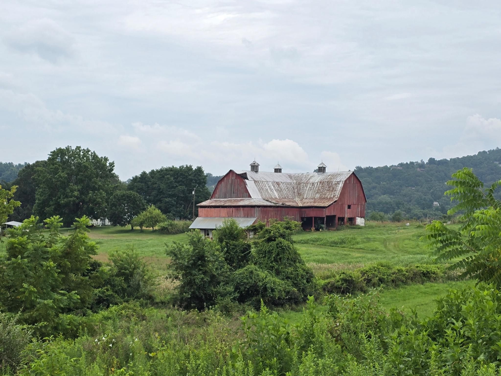NONE AVAILABLE - Farm