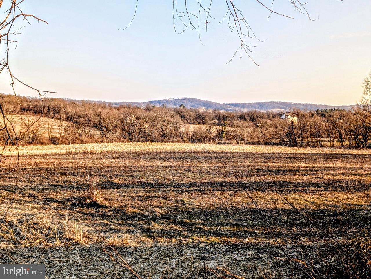 Includes two lots of 40.63 and 2.76 acres for total of 43.39 acres. Additional lots can be created. Located between Town of Lovettsville and Point of Rocks. Commuter train lots nearby at Brunswick and Point of Rocks. Approx 20-30 minute drive to Frederick MD, Leesburg VA, Purcellville, Waterford, Harper's Ferry WV, Charles Town WV, etc. Approx 45 minute drive to Dulles Airport.  Four new 4 bedroom perc sites. NOTICE- Old farmhouse on property is not safe to enter. NOVEC is power company.  Also spring house, small pond, seasonal creek, 2 outbuildings on property. See plat for access and utility easement location. Property is in Land Use, Seller not responsible for roll back taxes.