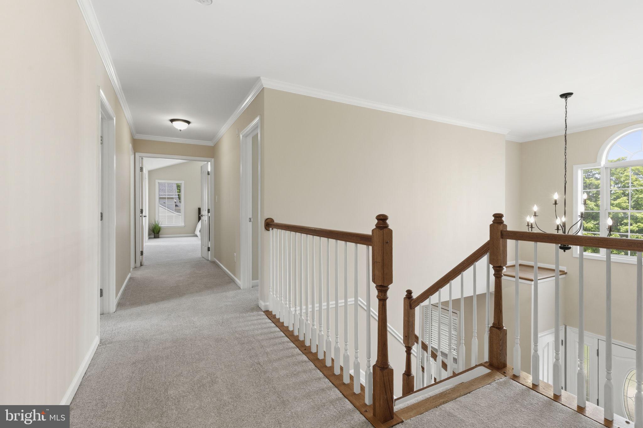 MAXA MEADOWS - Residential