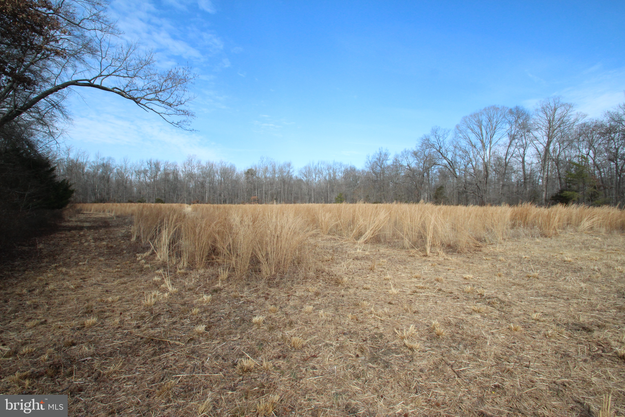 NONE AVAILABLE - Land