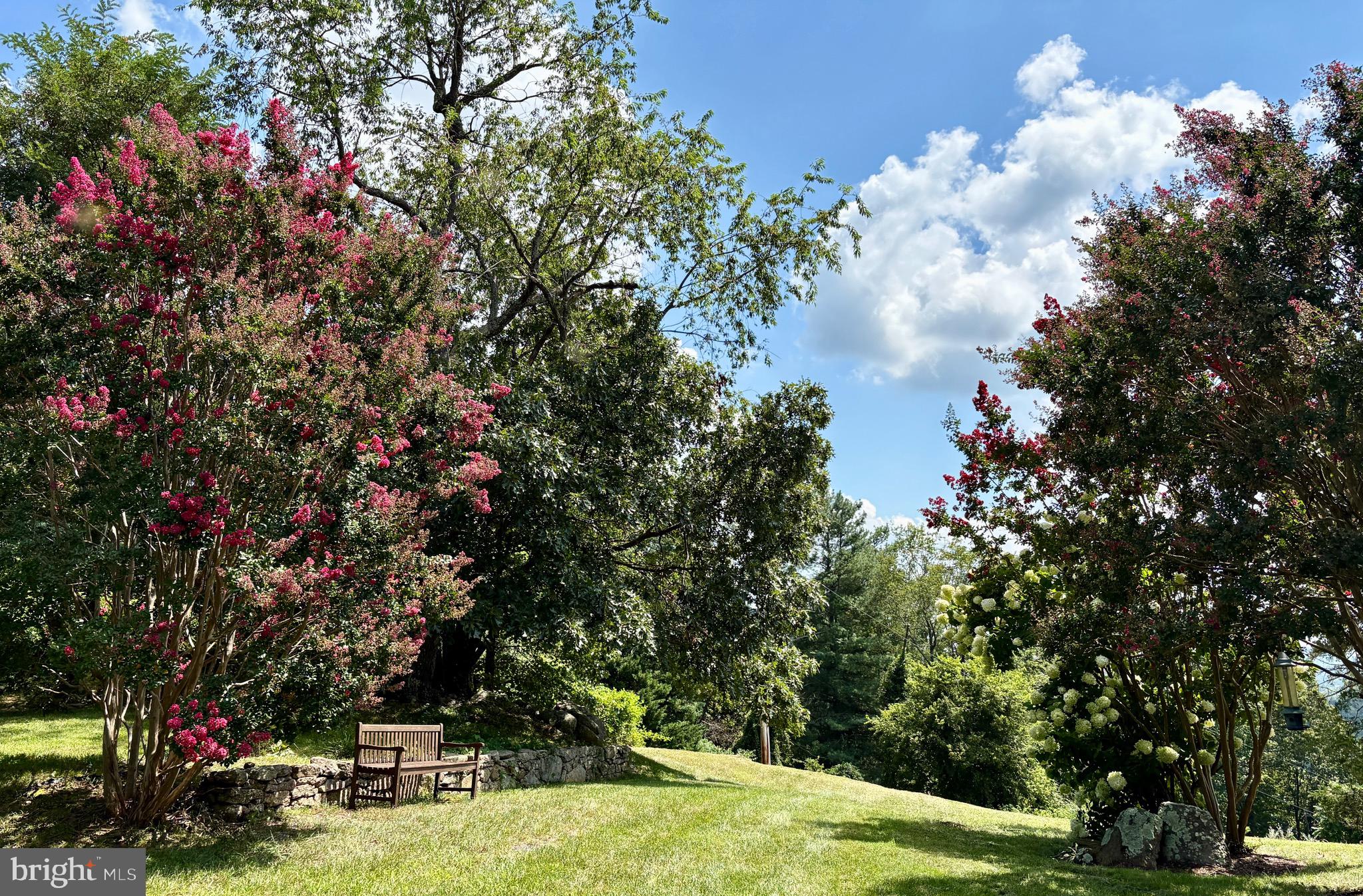 BEN VENUE - Residential