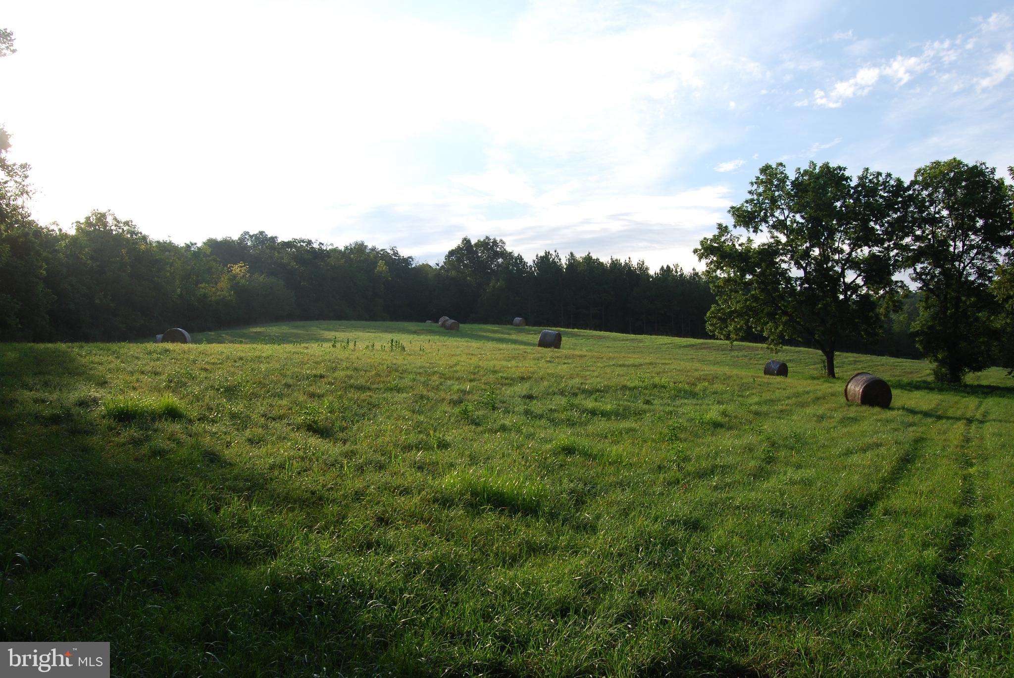 NONE AVAILABLE - Farm