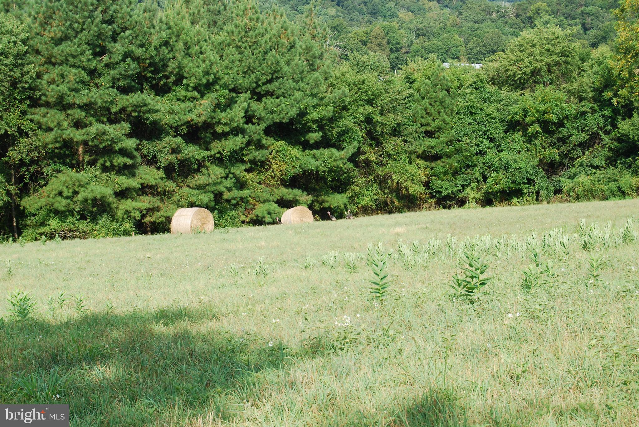NONE AVAILABLE - Farm