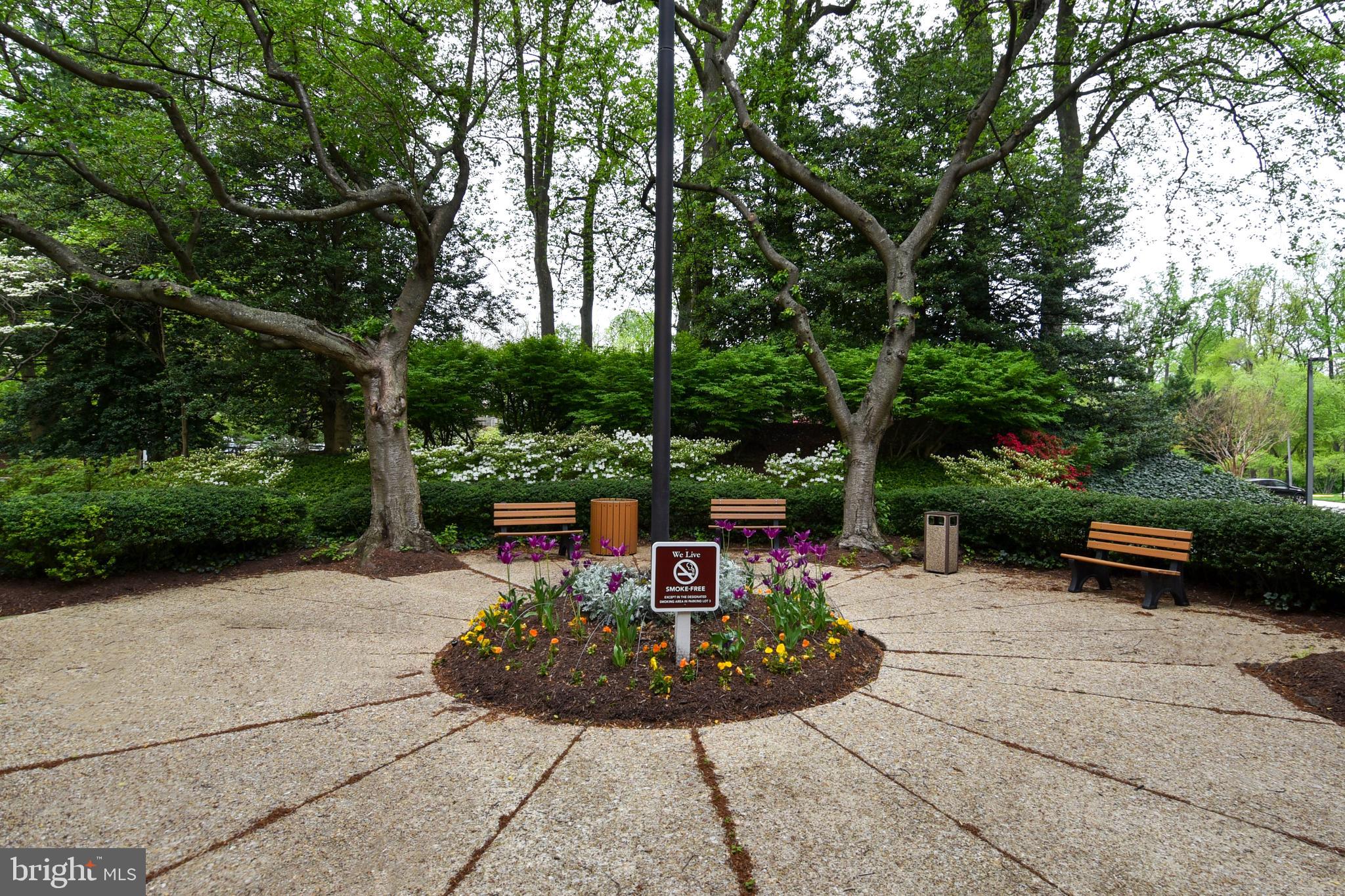 BETHESDA OUTSIDE - Residential