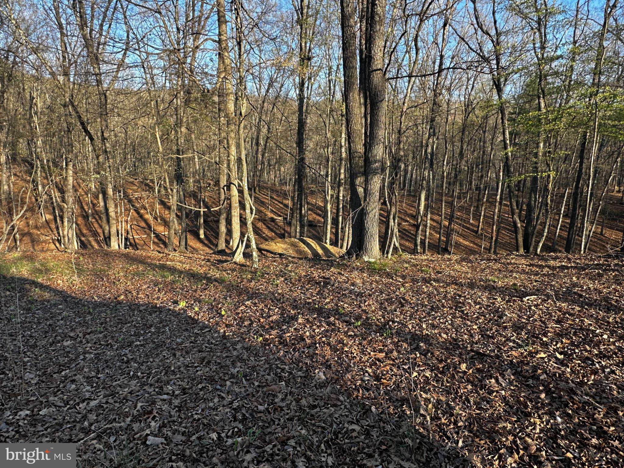 THE CROSSING AT GREAT CACAPON - Land