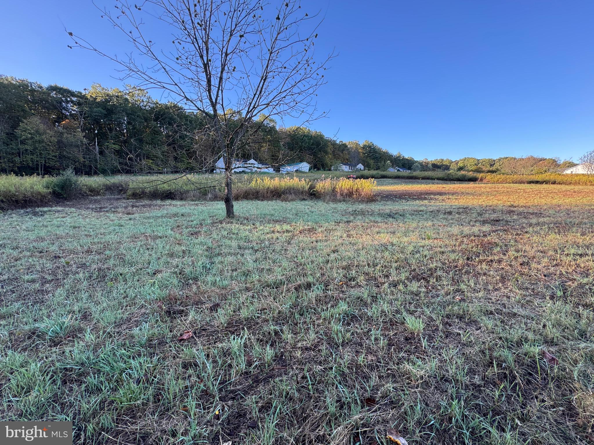 Country Building Lot with Scenic Views – Peaceful Setting on Quiet Road- Blue Mountain School District
Build your dream home on this picturesque building lot that is just over 1 acre nestled in the heart of the countryside.  Located on a lightly traveled, peaceful country road, this gently rolling property offers the perfect blend of serenity and natural beauty.  Enjoy breathtaking views of the surrounding landscape, with open skies and rolling fields creating a tranquil, rural atmosphere. Whether you're looking to build a full-time residence or a weekend retreat, this lot provides the ideal setting for your vision.