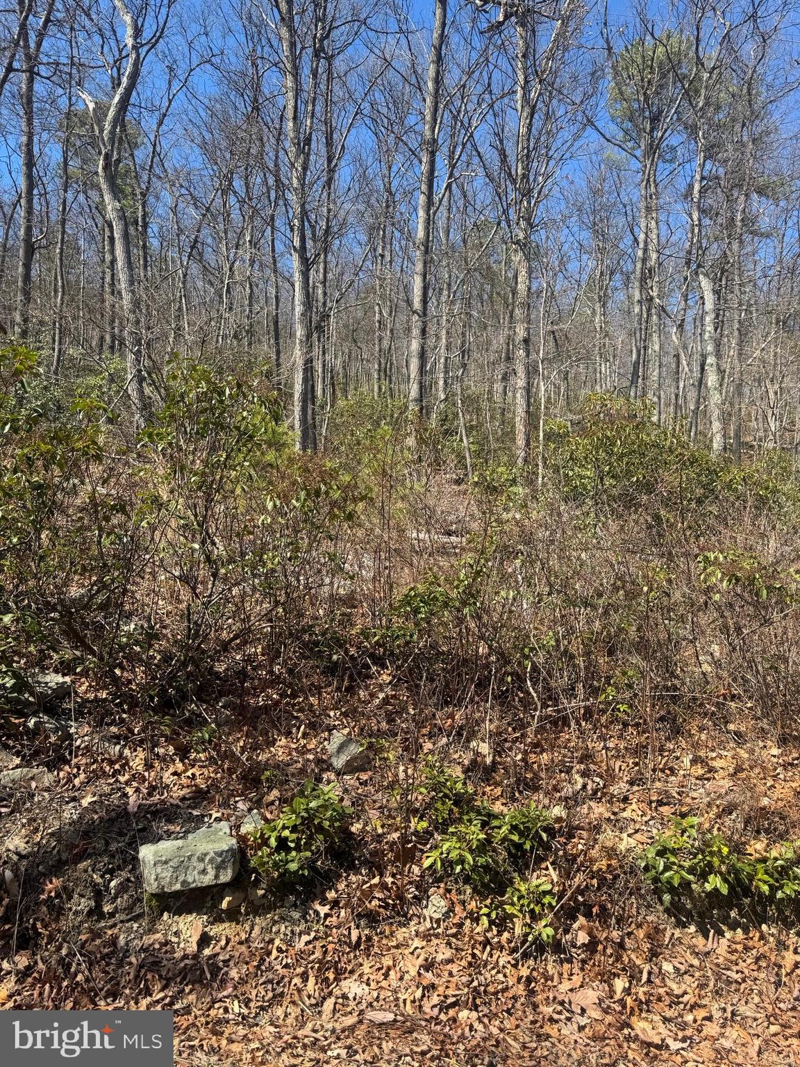 WILDE ACRES - Land