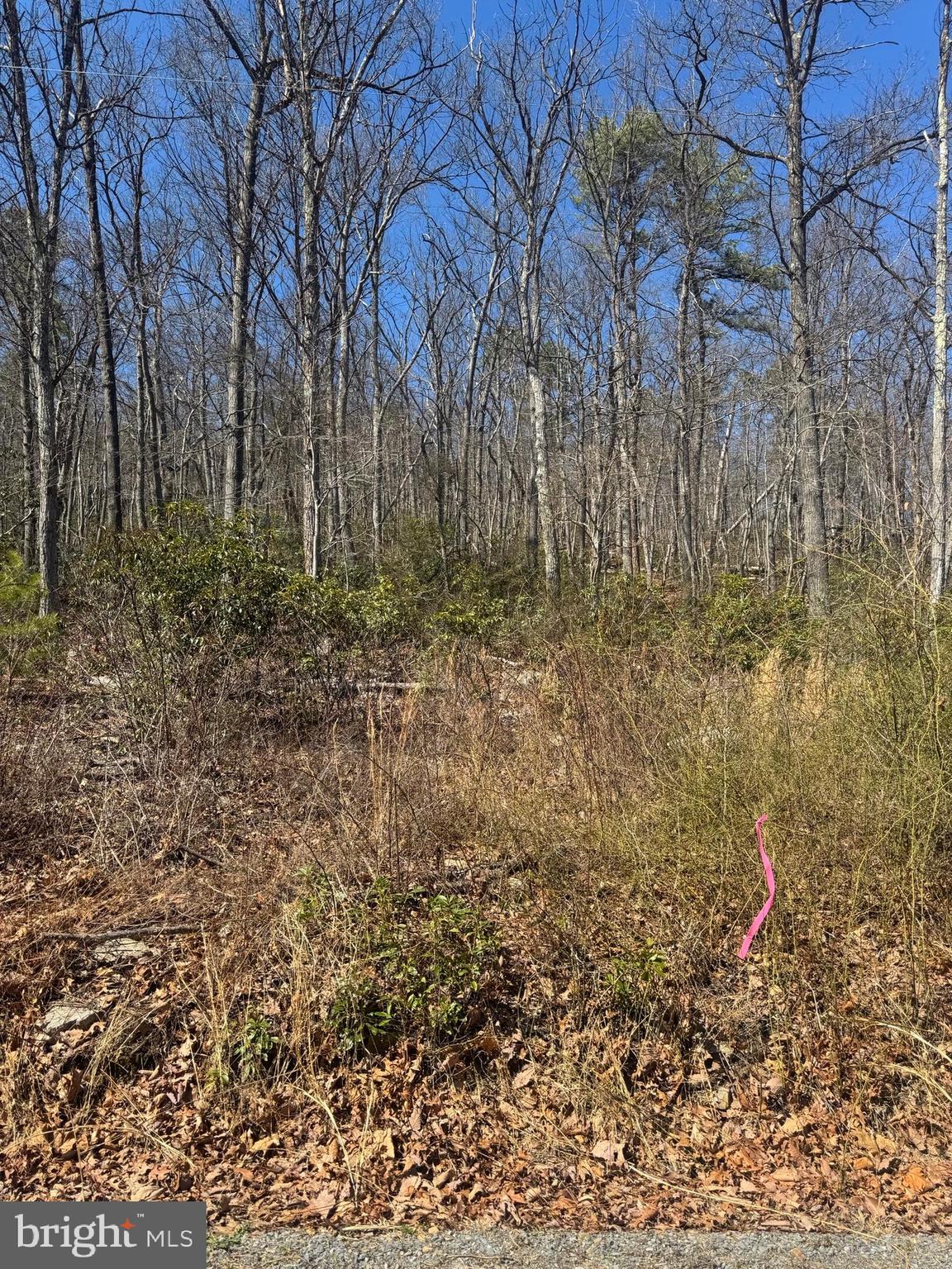 WILDE ACRES - Land