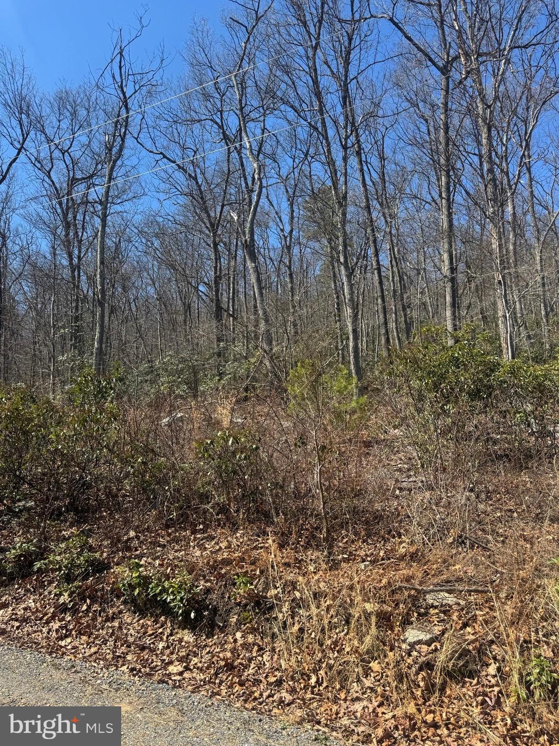 WILDE ACRES - Land