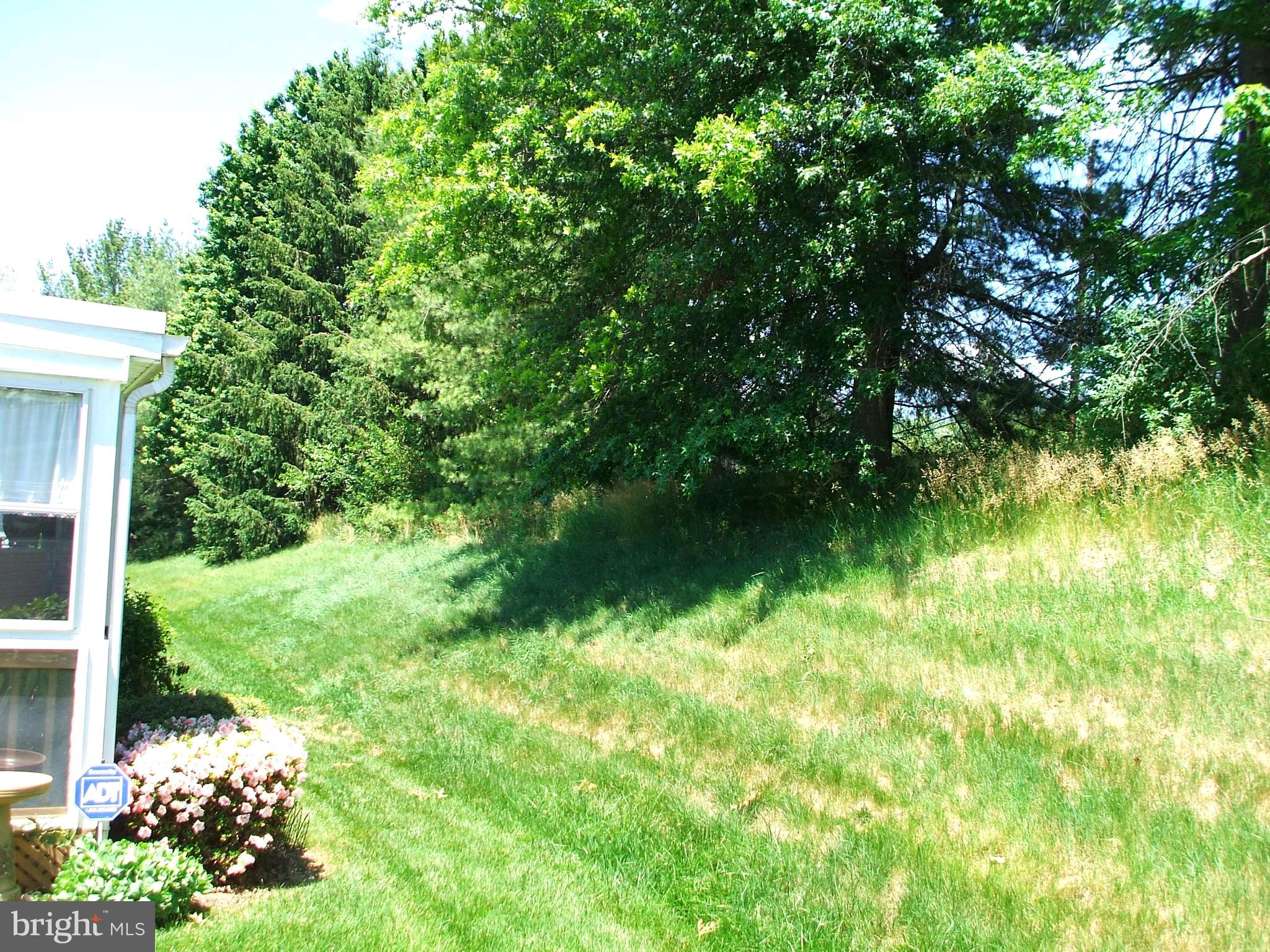WALNUT MEADOWS - Residential