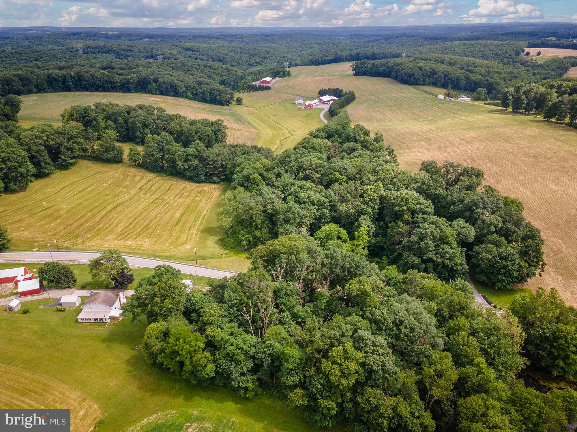 NONE AVAILABLE - Farm