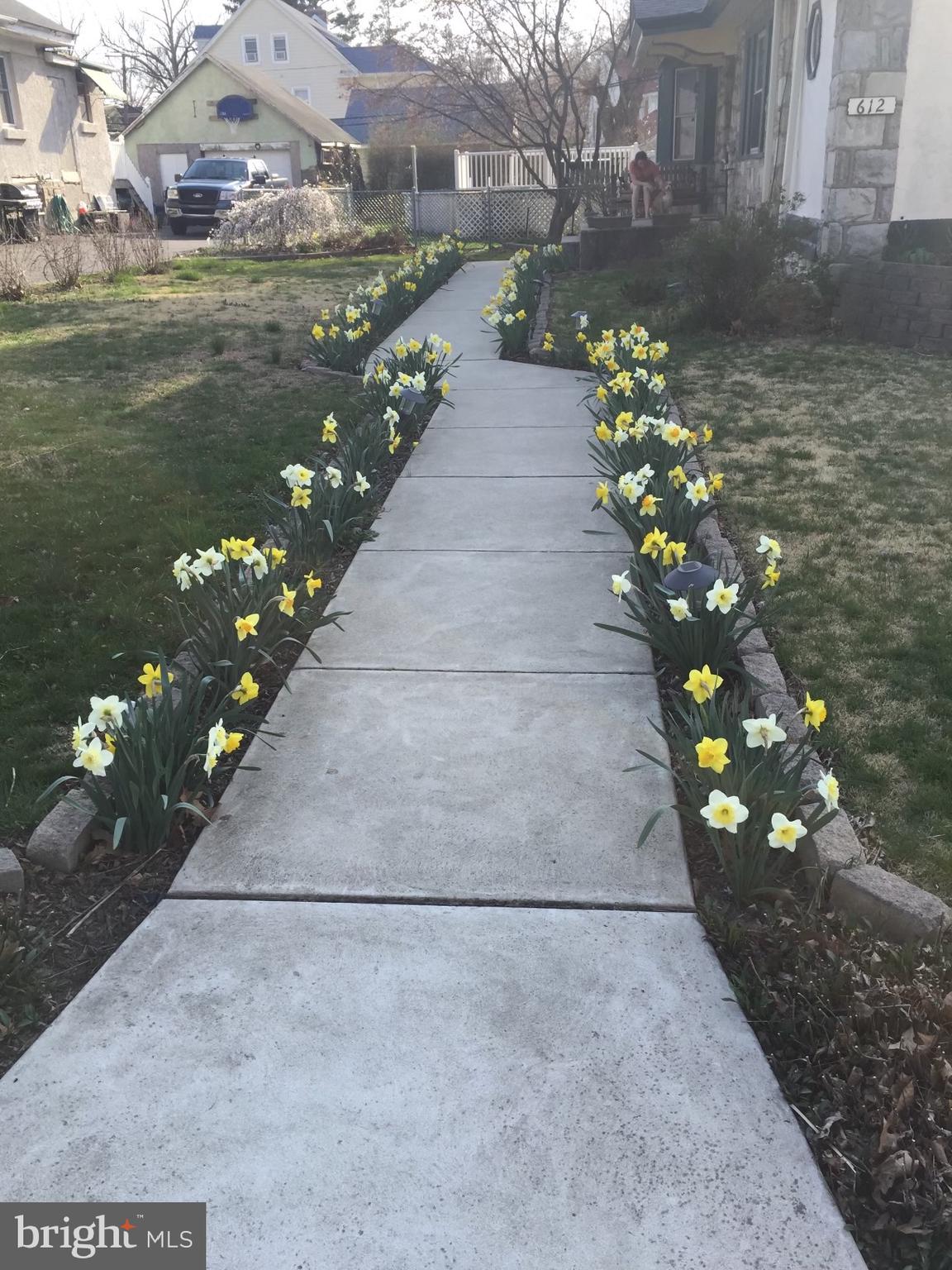DREXEL PARK - Residential