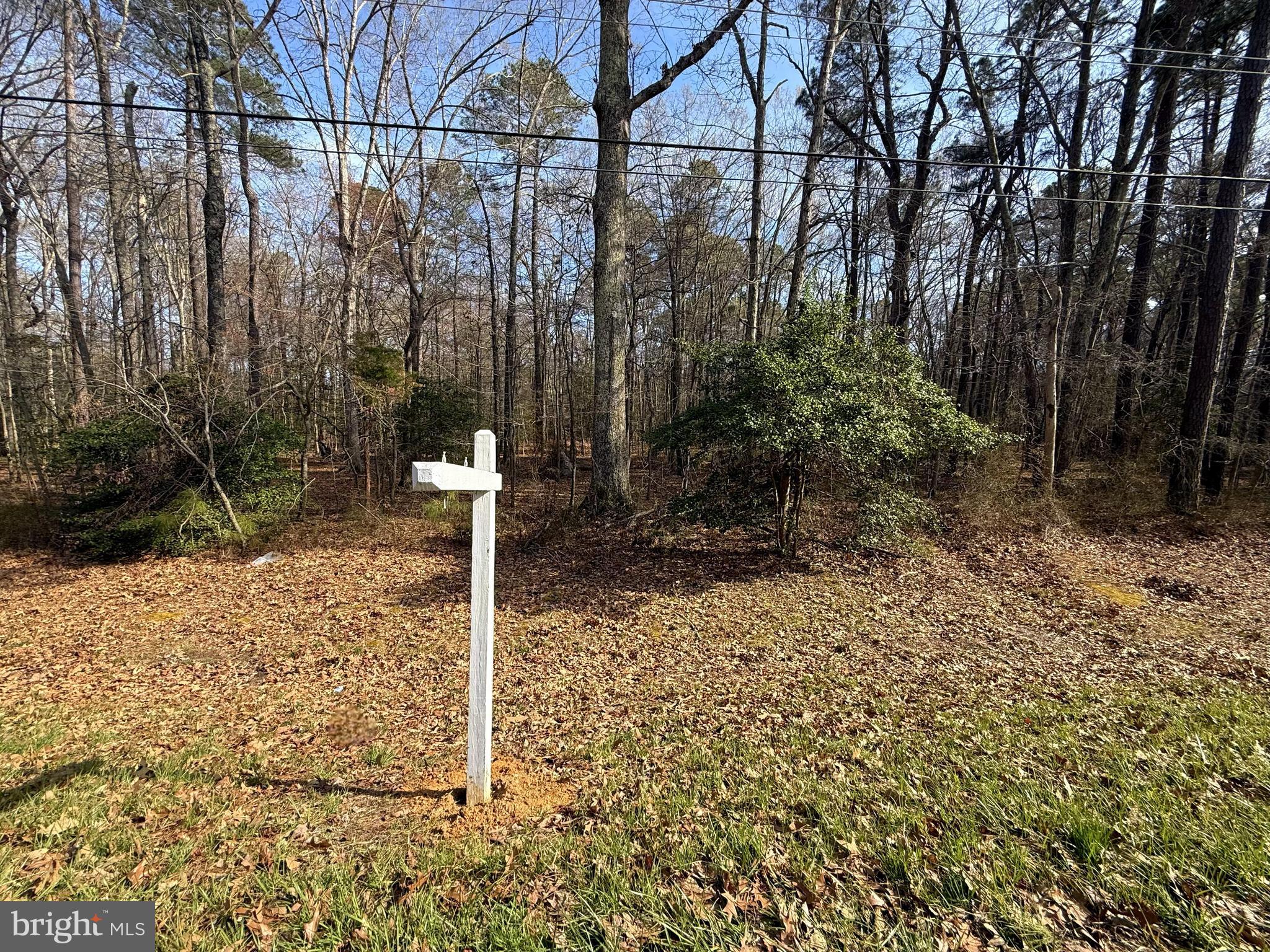 Welcome to 18832 Piney Point Road! This property spans 3.57 acres and includes two lots within one parcel.  Build your dream home in the peaceful waterfront community of Piney Point, Maryland. This exceptional parcel offers a rare opportunity to create a custom residence surrounded by natural beauty, privacy, and coastal charm. Nestled near the Potomac River, the property provides a serene setting with easy access to boating, fishing, and scenic views that define Southern Maryland living. 5 minutes from the boat ramp, pier, boarding pier, and picnic tables!

The lot offers ample space for new construction, giving you the flexibility to design a home that fits your vision—whether it’s a modern retreat, a cozy cottage, or a full-time residence. Enjoy the quiet, laid-back lifestyle of a small community while still being within driving distance of shopping, dining, and major commuter routes.

With its combination of tranquility, natural surroundings, and potential, this property is ideal for buyers looking to invest in land and build in a location that truly feels like a getaway—every day. Don’t miss your chance to secure a slice of one of Maryland’s hidden gems!
