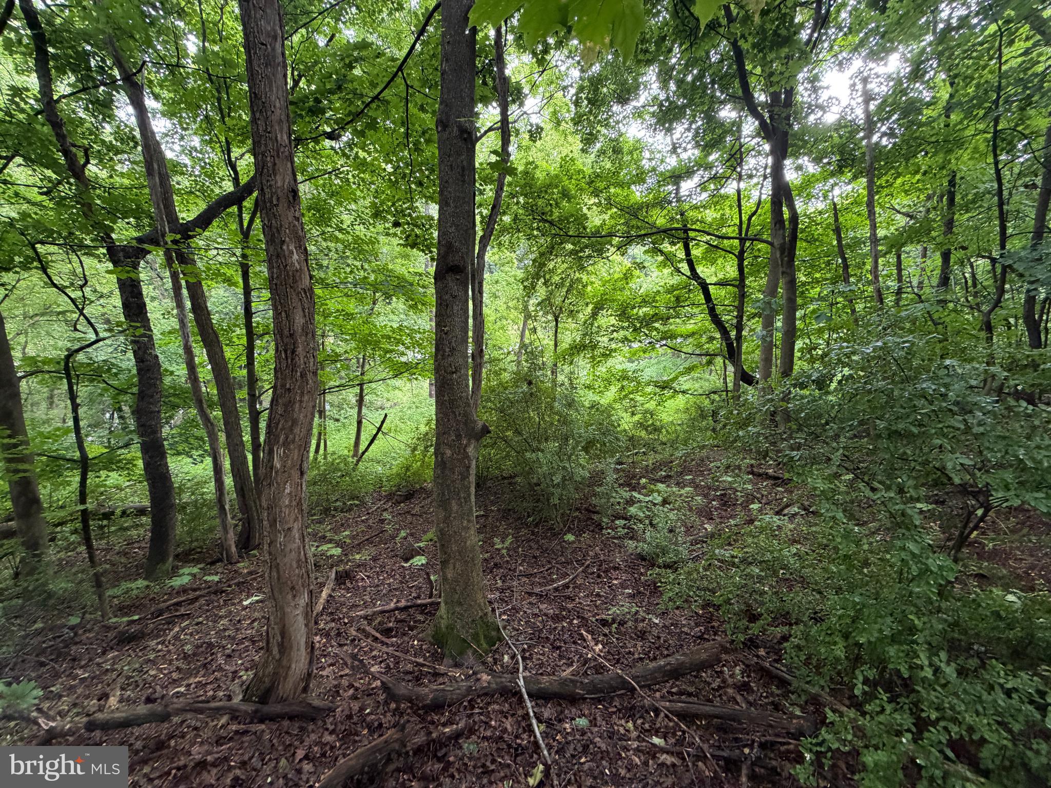 1.4 Acres located on a dead end street adjacent to the Juniata River. With the majority of the property located outside the floodplain, this parcel offers flexibility for a variety of potential uses. The property was recently surveyed and public sewer is available to be tapped into.