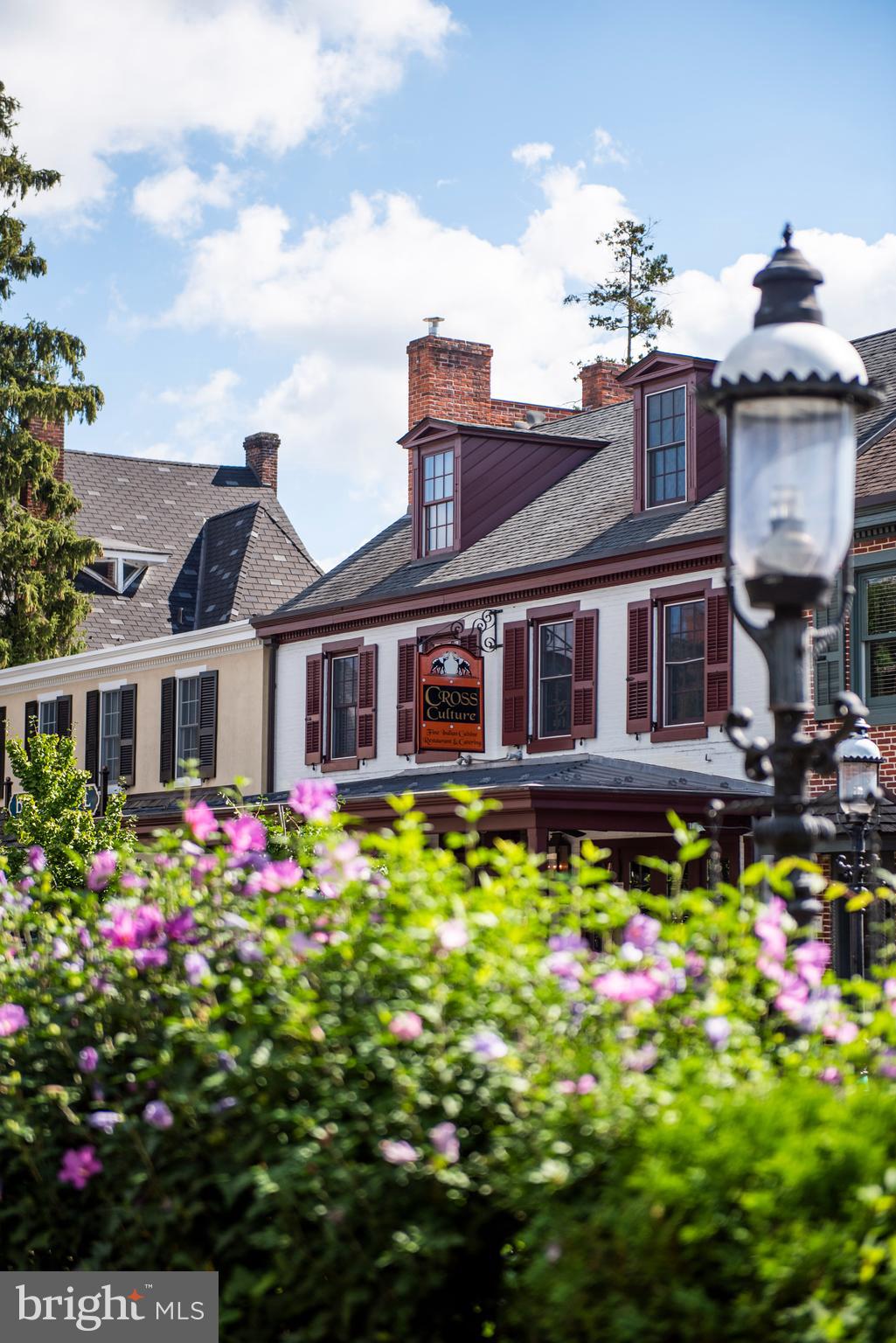 DOYLESTOWN WALK - Residential