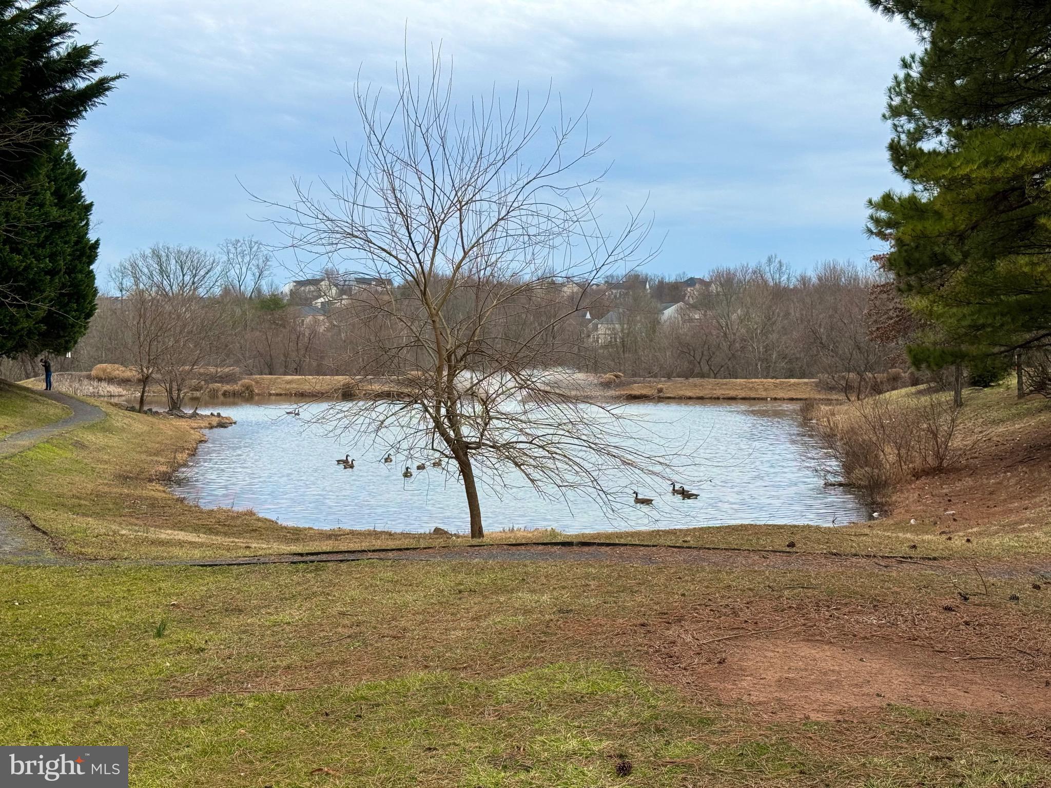 GREENHILL CROSSING - Residential Lease
