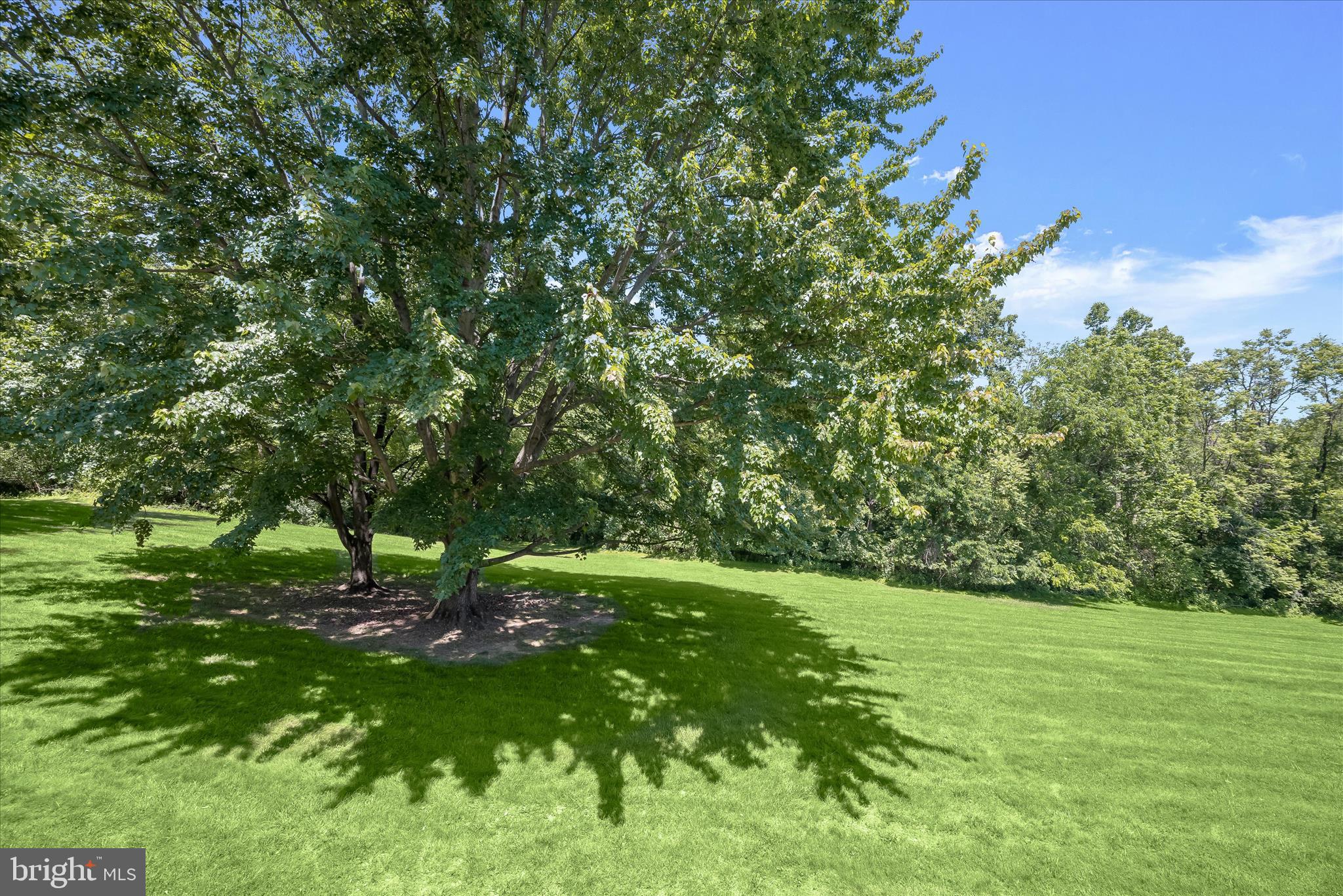 WYE CREEK - Residential