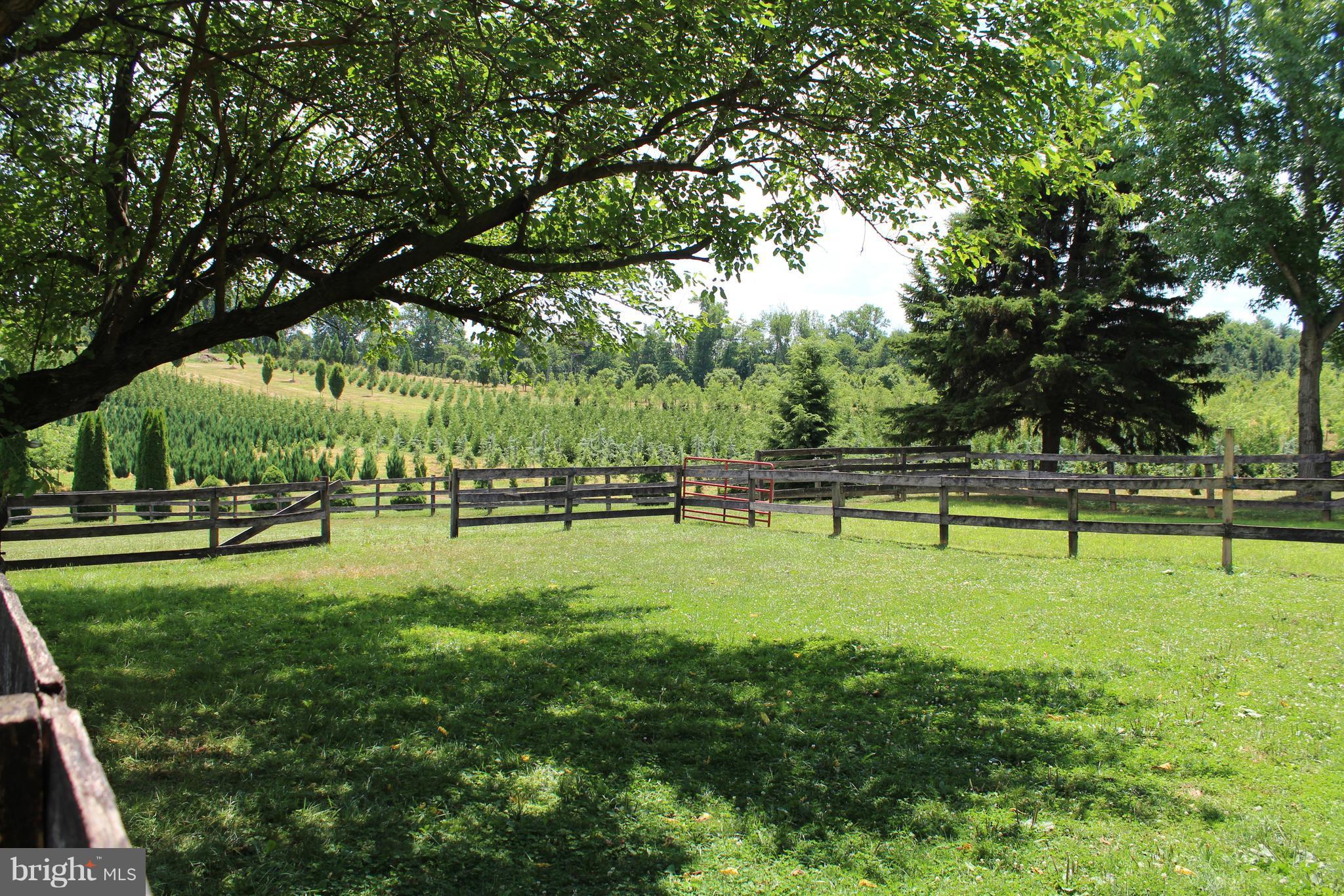 HAMPSTEAD - Farm