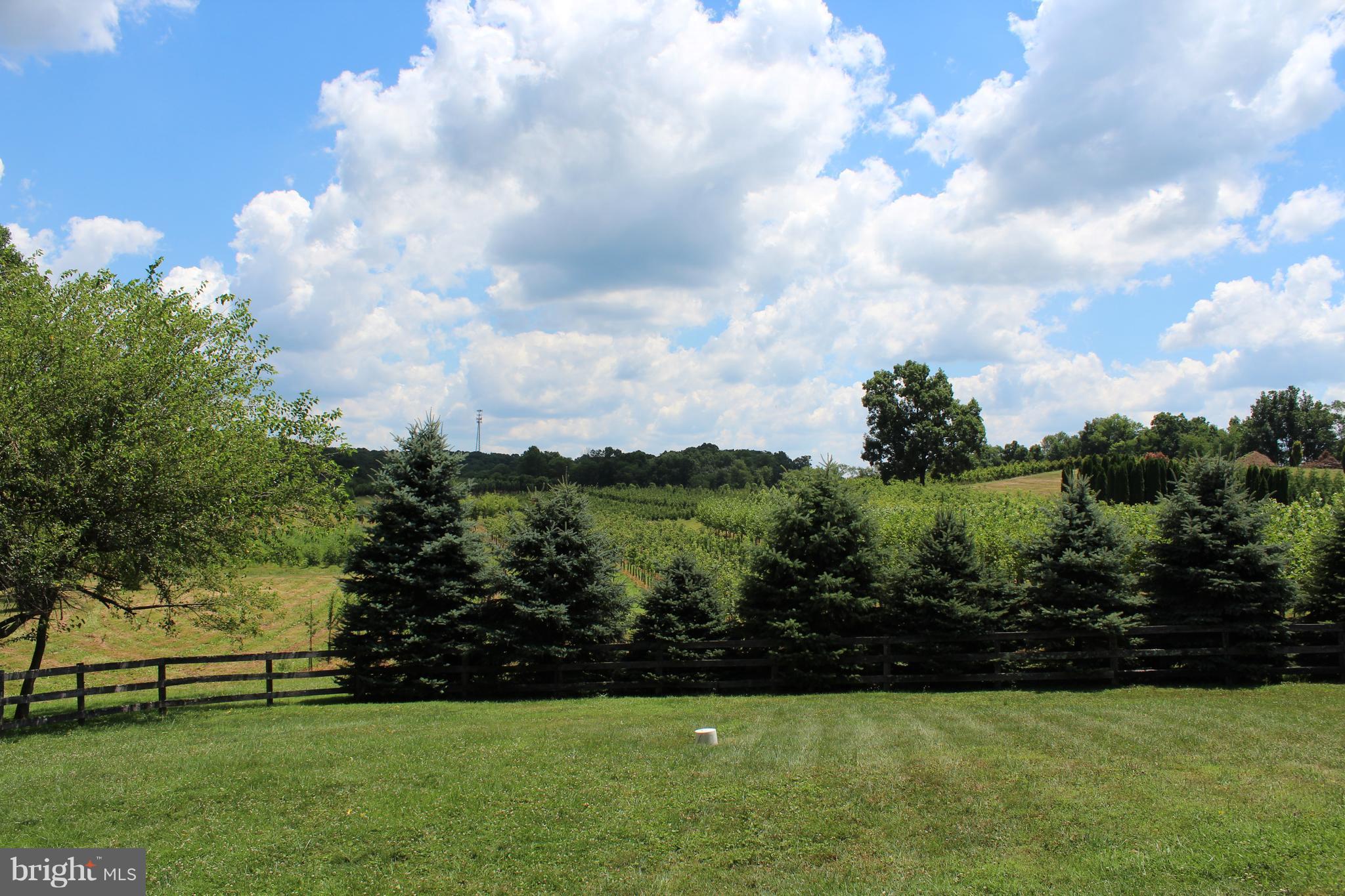 HAMPSTEAD - Farm
