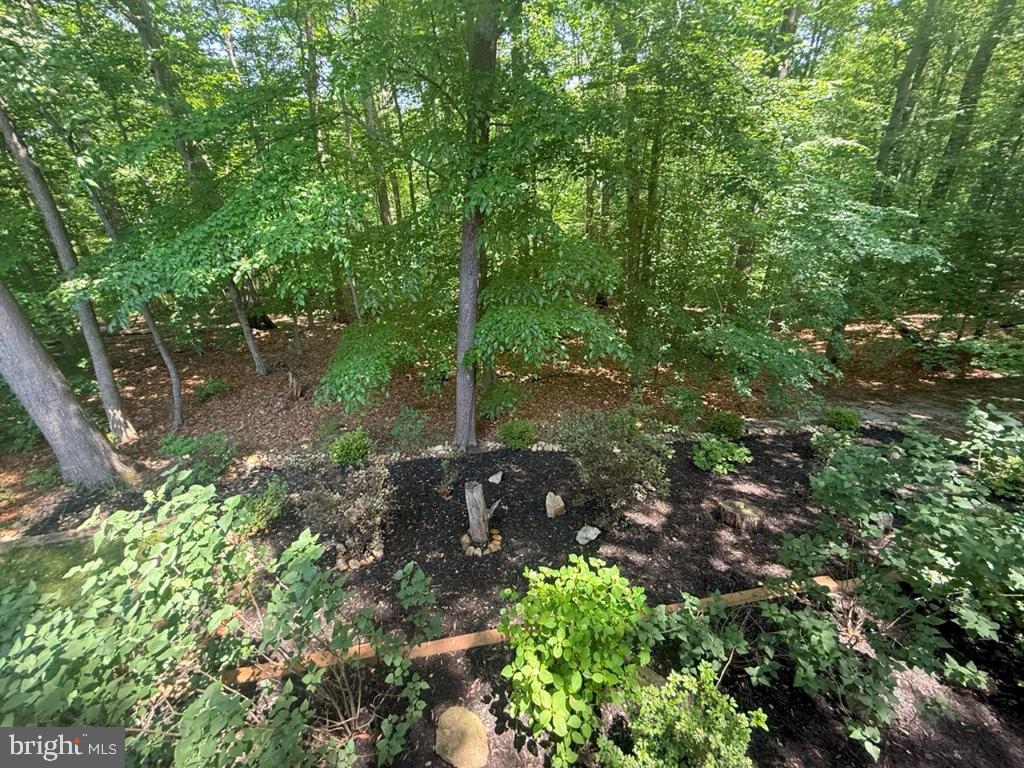 SARATOGA - Residential Lease