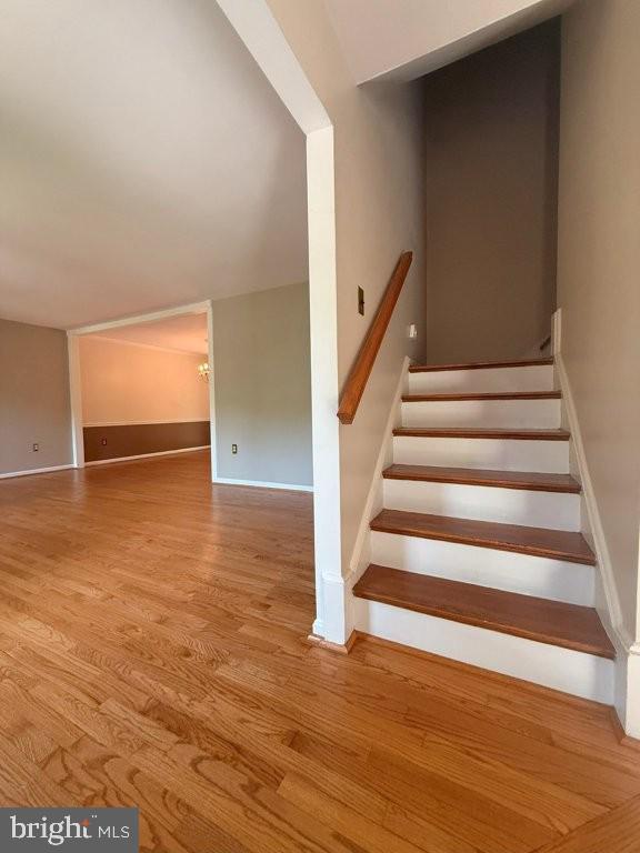 SARATOGA - Residential Lease